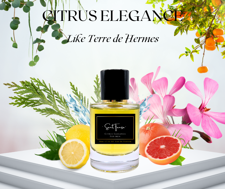 Insp. Terre de Hermes